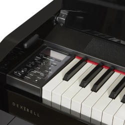 Dexibell VIVO H10MG Black Polished