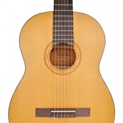 Toledo CST44-NTS
