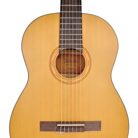 Toledo CST44-NTS