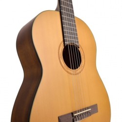 Toledo CST44-NTS
