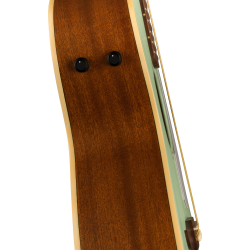 Fender Newporter Player WN Surf Green