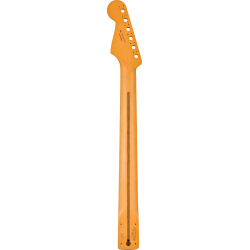 Fender Player Plus Stratocaster Neck Pau Ferro Fingerboard
