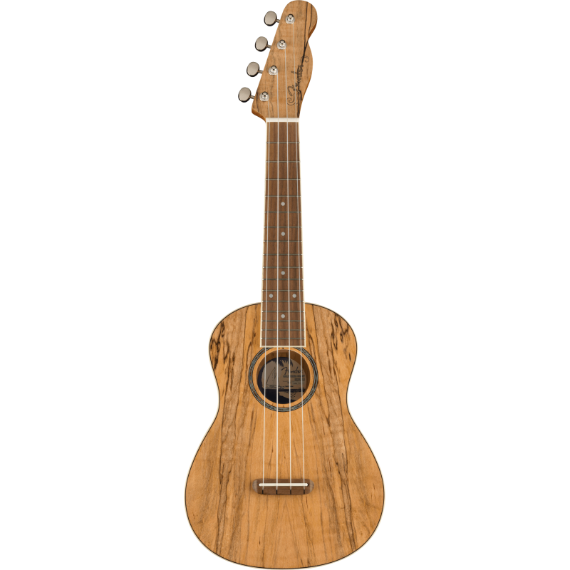 Fender Zuma Exotic Concert Ukulele WN Spalted Maple