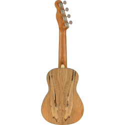 Fender Zuma Exotic Concert Ukulele WN Spalted Maple