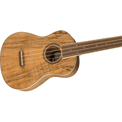 Fender Zuma Exotic Concert Ukulele WN Spalted Maple