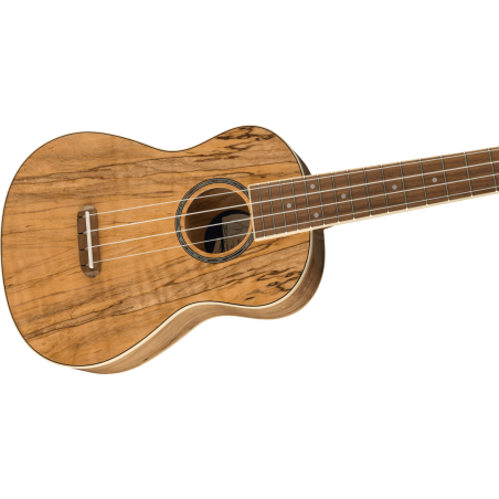 Fender Zuma Exotic Concert Ukulele WN Spalted Maple