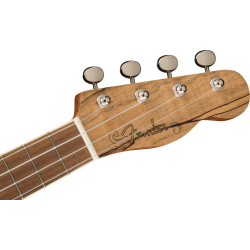 Fender Zuma Exotic Concert Ukulele WN Spalted Maple