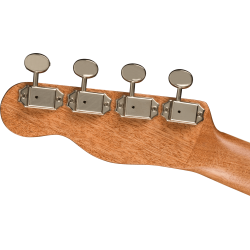 Fender Zuma Exotic Concert Ukulele WN Bocote