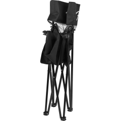 Fender Festival Chair/Stand