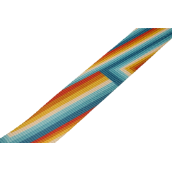 Fender Retro Rainbow Strap
