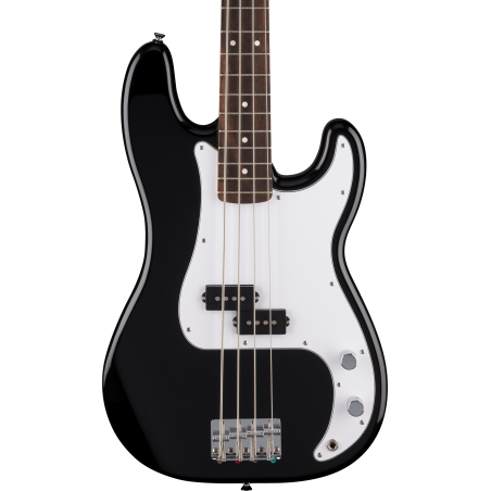 Fender Standard Precision Bass LRL WPG Black