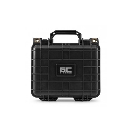 Power Dynamics Gigcase4