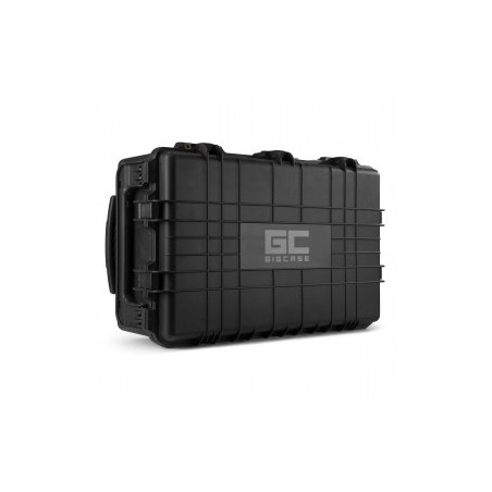 Power Dynamics Gigcase42T