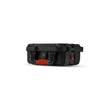 Power Dynamics Gigcase50R