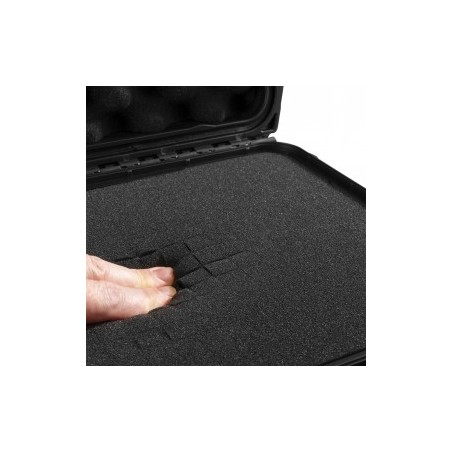Power Dynamics Gigcase50R