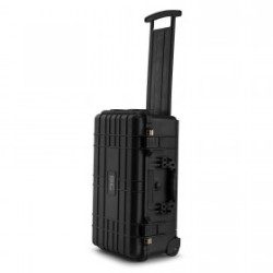 Power Dynamics Gigcase30T