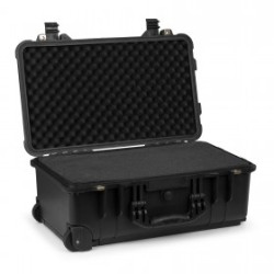 Power Dynamics Gigcase30T