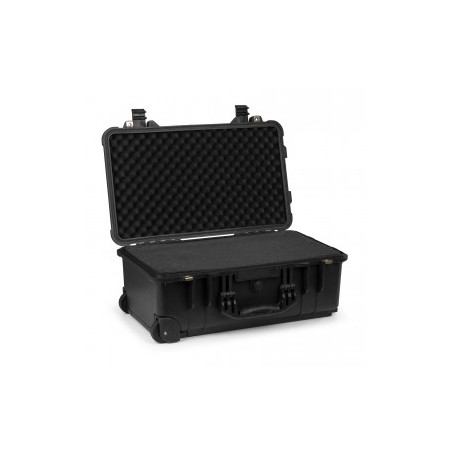 Power Dynamics Gigcase30T