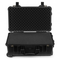 Power Dynamics Gigcase30T
