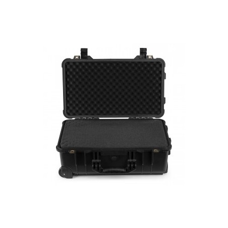 Power Dynamics Gigcase30T
