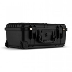 Power Dynamics Gigcase30T