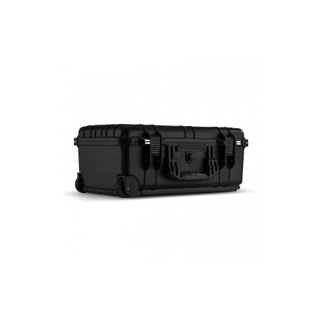Power Dynamics Gigcase30T
