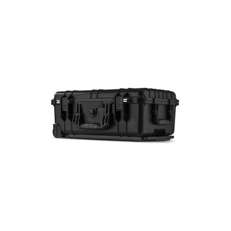 Power Dynamics Gigcase30T