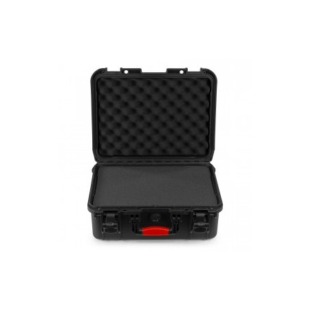 Power Dynamics Gigcase66R