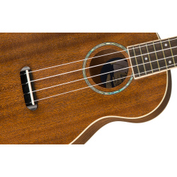 Fender Zuma Concert Ukulele WN Natural