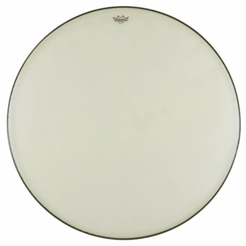 REMO Ambassador 24" BR-1124-00