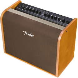 Fender Acoustic 100