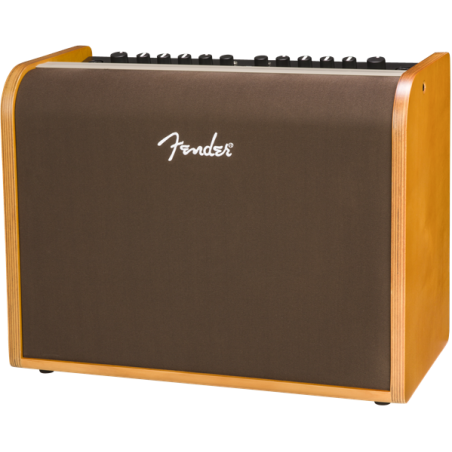 Fender Acoustic 100