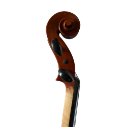 Fenice Preludio Set D Violino 3/4