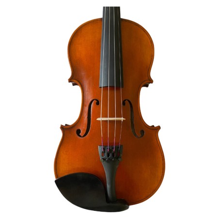 Fenice Studente Violino 4/4 Set C