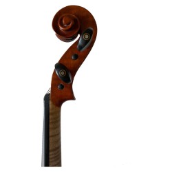 Fenice Studente Violino 4/4 Set C