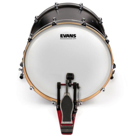Evans BD22UV1 22" Coated