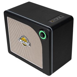 Mooer Hornet 15i Black
