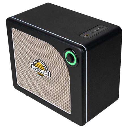 Mooer Hornet 15i Black
