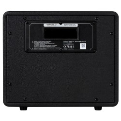 Mooer Hornet 15i Black