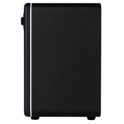 Mooer Hornet 15i Black