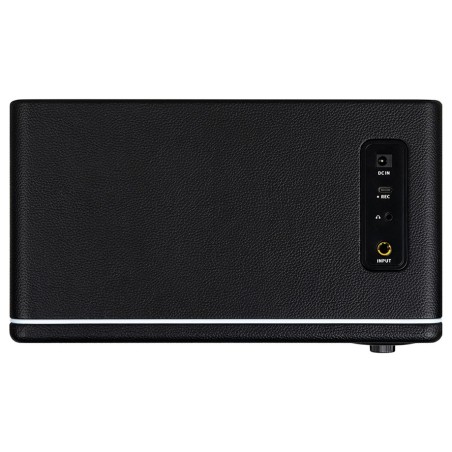 Mooer Hornet 15i Black