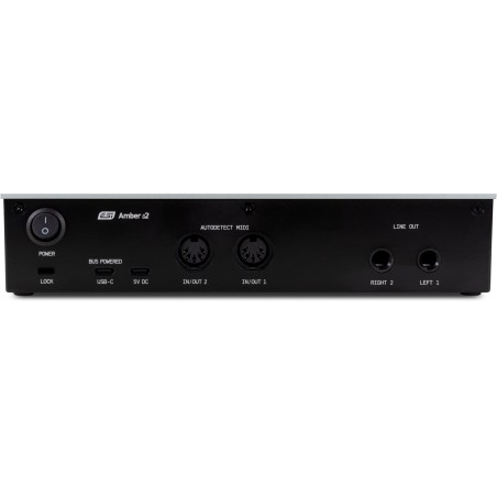 Esi Amber i2