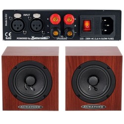 Auratone 5C Super Sound Cube Amp Set Classic