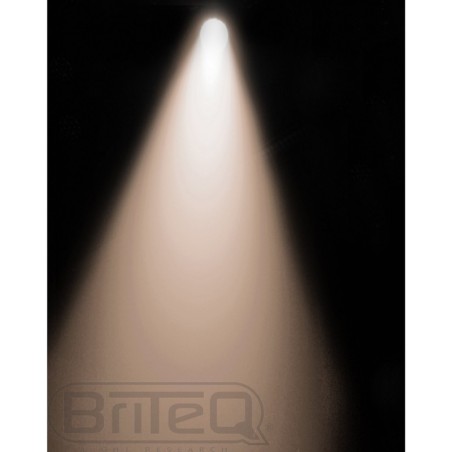 Briteq COB PAR56-S