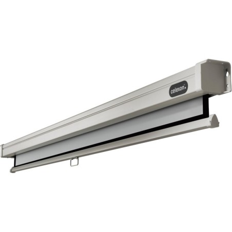 celexon Canvas Roller Blind Professional 280 x 210 cm