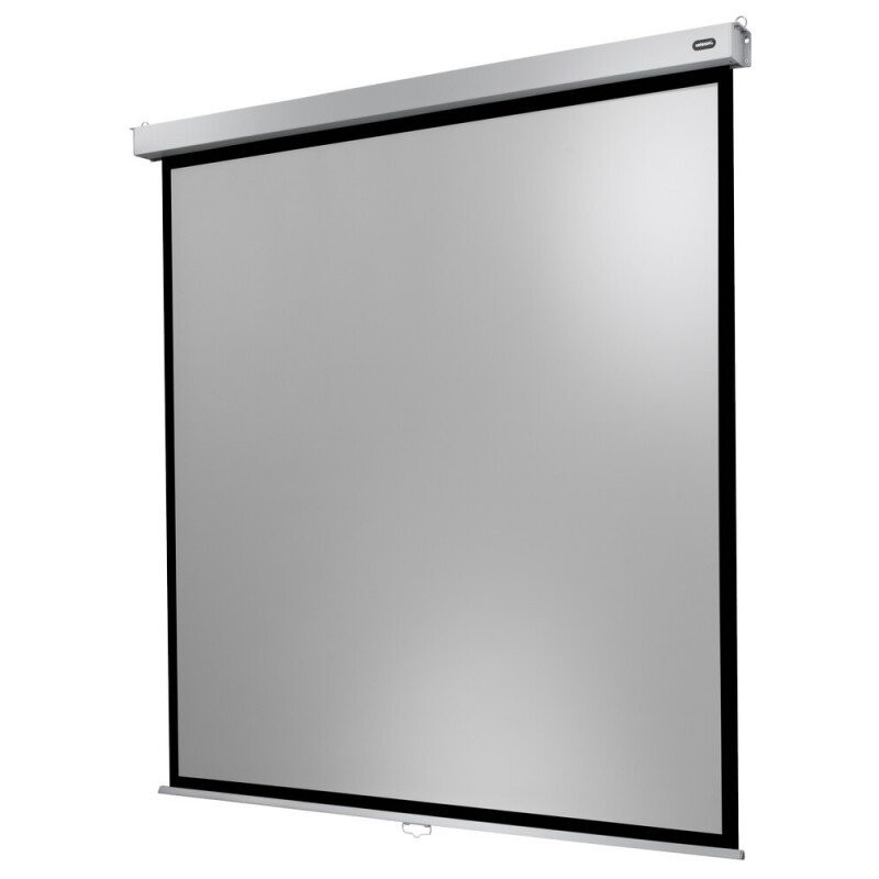 celexon Canvas Roller Blind Professional Plus 200 x 200 cm