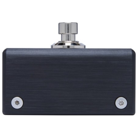 Pigtronix 2NR