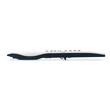 Carry On CO-DWI2PRO-WT