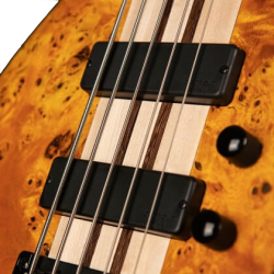 Cort A5 Plus SC Amber Open Pore