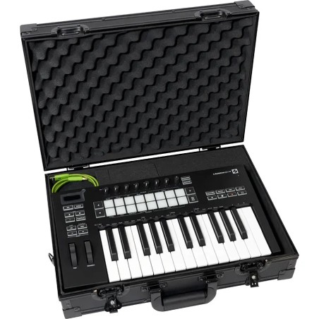 WALKASSE DDJ-FLX2/FLX4/XP2 Flightcase